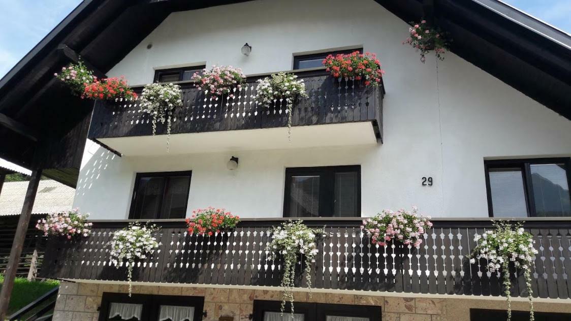 בוהין Brane Apartment מראה חיצוני תמונה